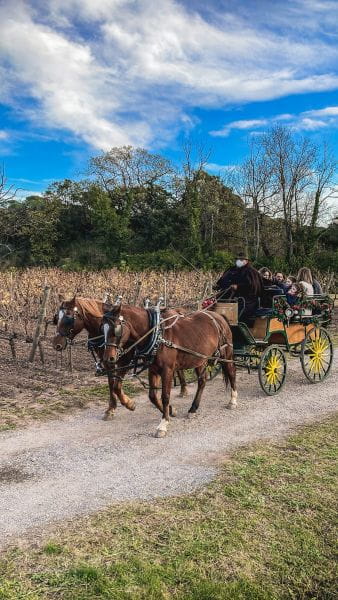 Mercatino di Natale di Clos des Roses